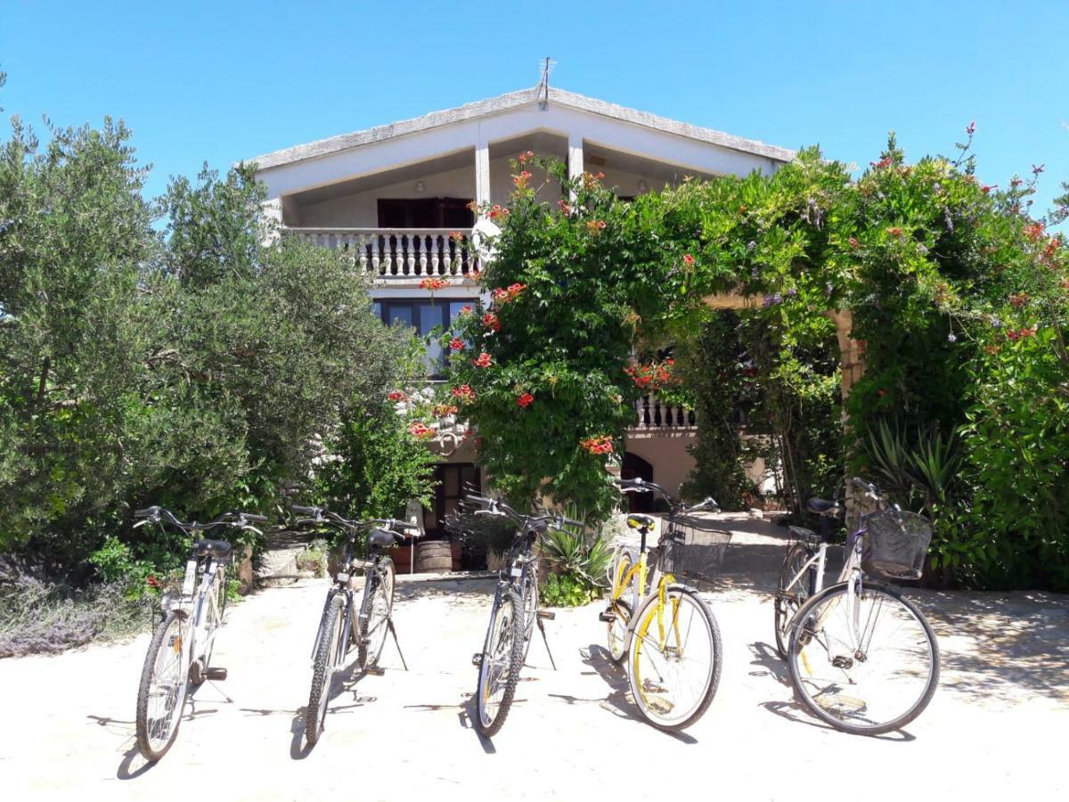 Apartments Marinka Biograd Na Moru Exterior photo